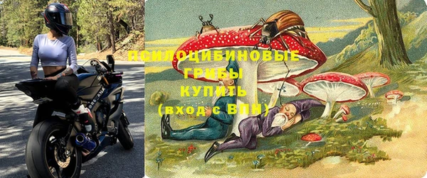 бутират Алзамай