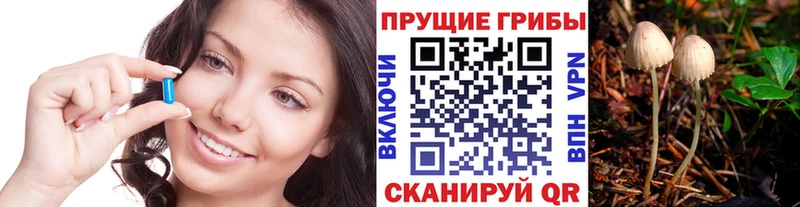 Псилоцибиновые грибы ЛСД  Сосновка 